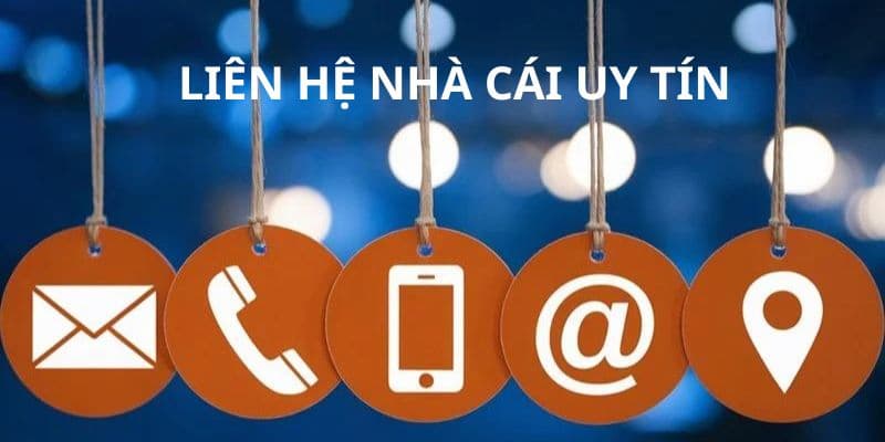 Liên hệ trang kèo bóng đá khi chơi cá cược