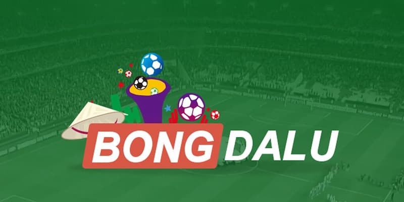 Lưu ý quan trọng khi sử dụng bongdalu